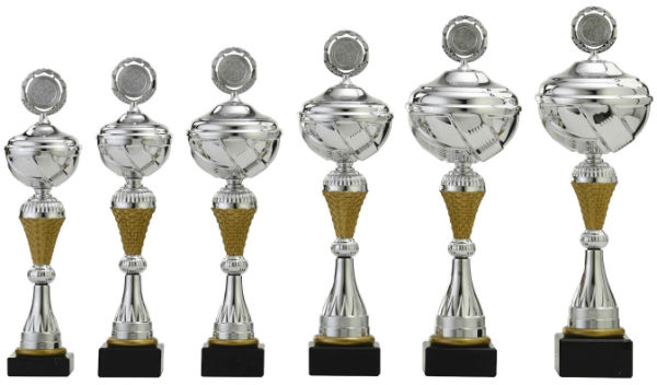 bevroren beet bijstand Sportprijzen beker goud + zilver S438-S502 | online trofee bestellen