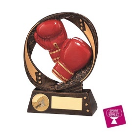 boksen-vechtsport-prijzen-award-trofee