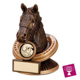dressuurprijzen-sportprijzen-paarden-goedkoop-online-rf3037